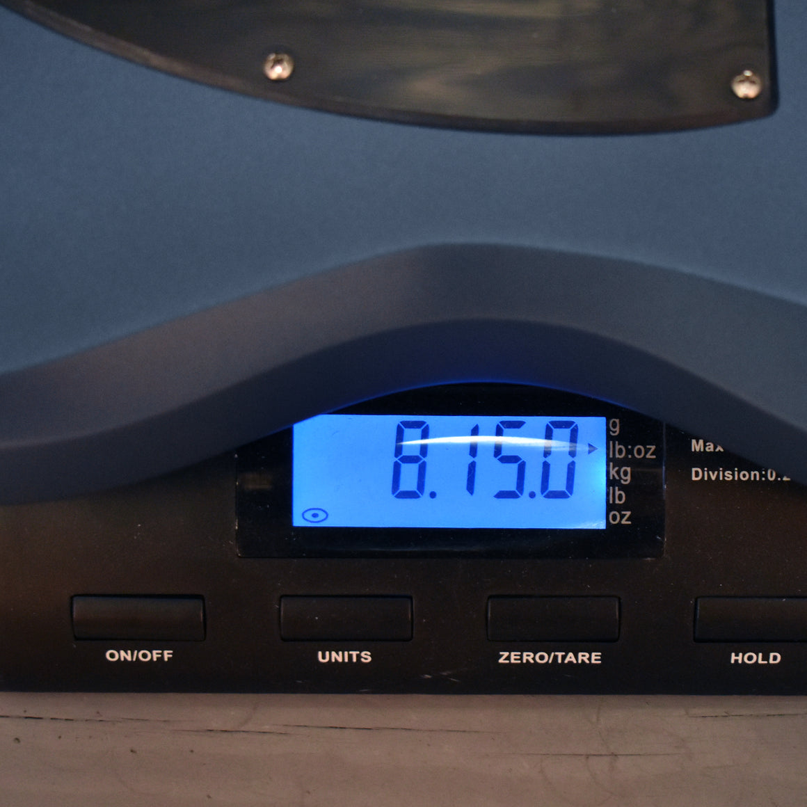 Caydence Discovery Triton Nautilus Blue Satin