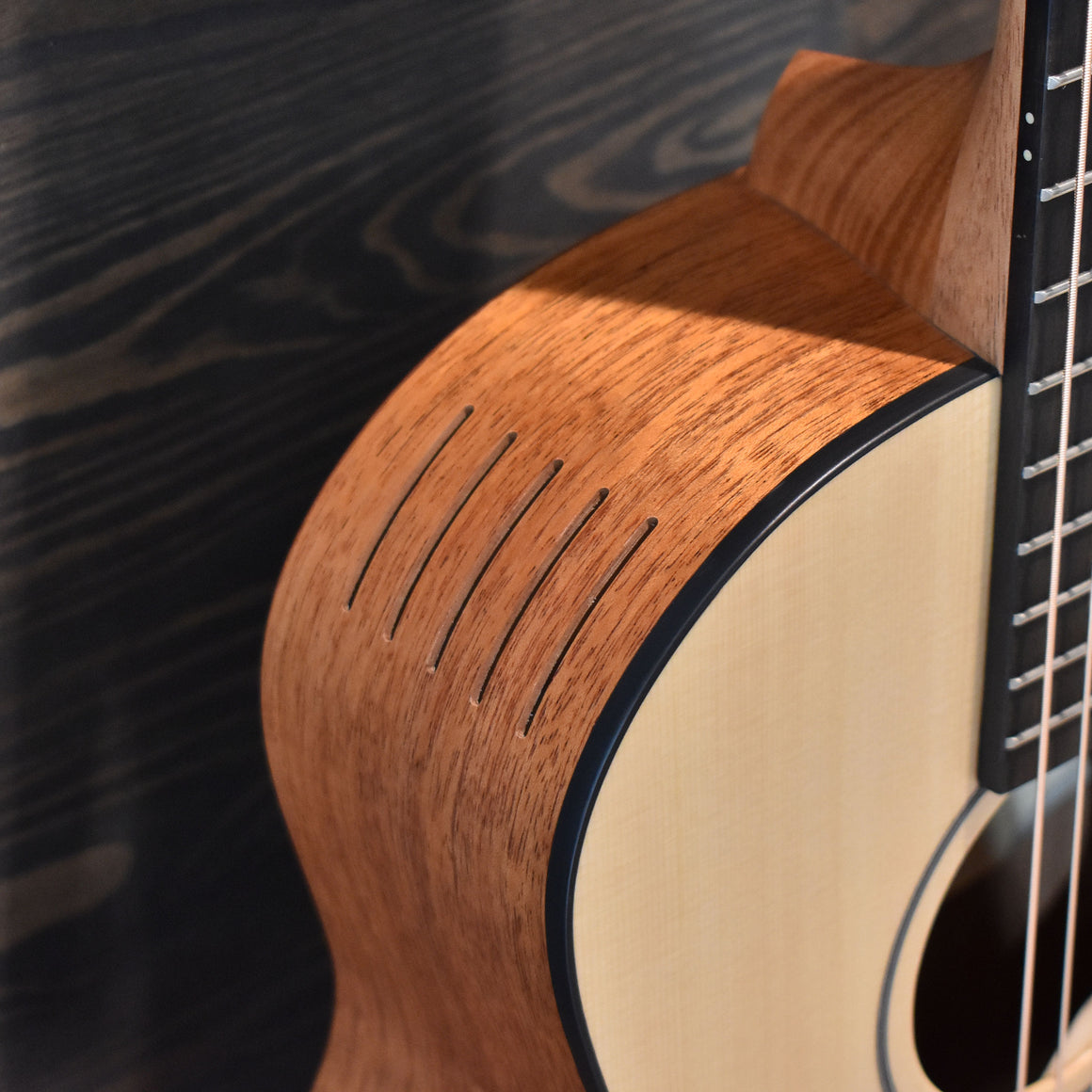 Furch Guitars Pioneer-EM A Acoustic Guitar CNR Active System W/Gig Bag