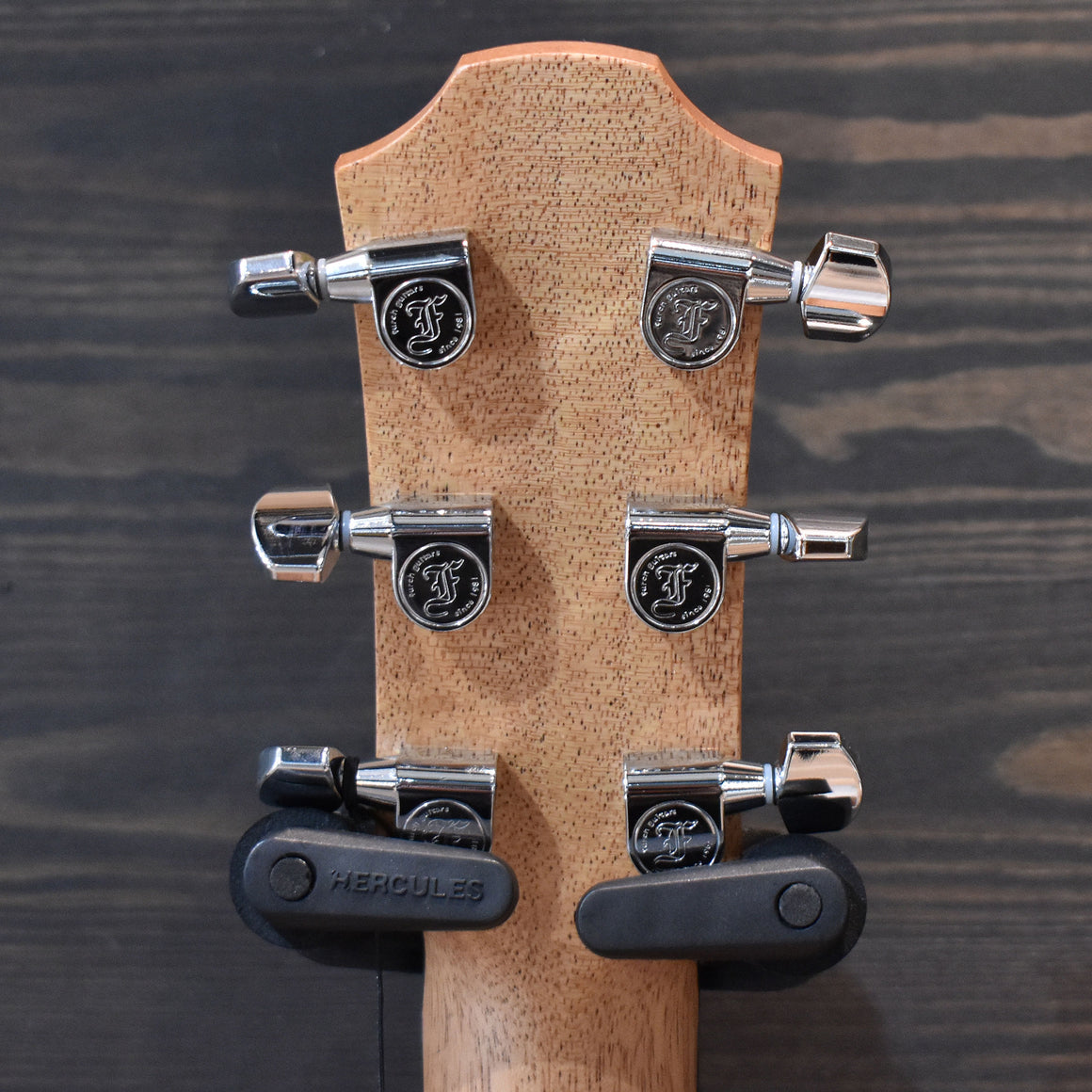 Furch Guitars Pioneer-EM A Acoustic Guitar CNR Active System W/Gig Bag