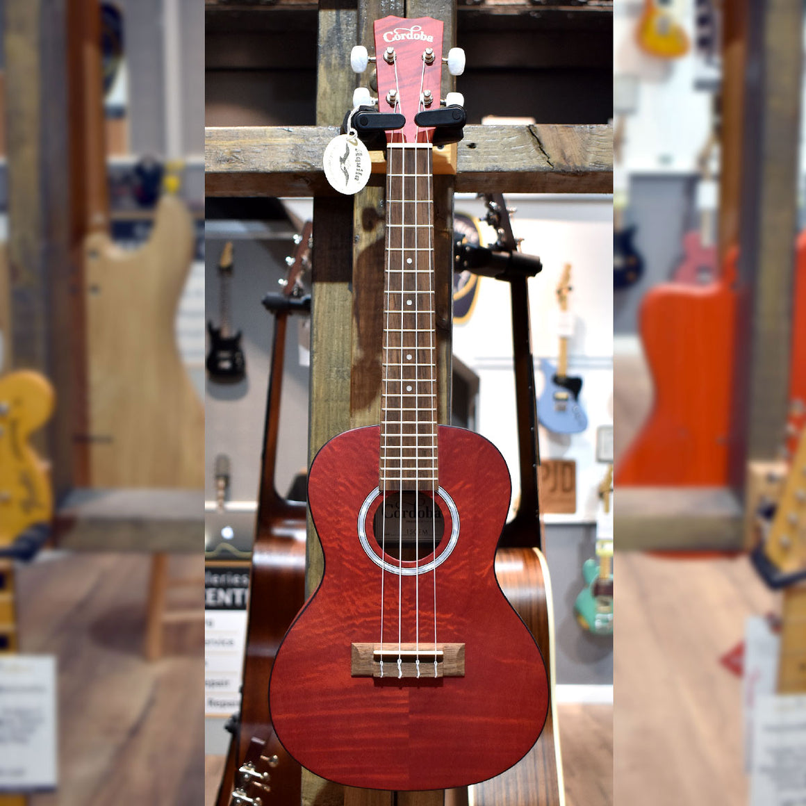 Cordoba 15CFM Concert Flamed Mahogany Rose Red Ukulele