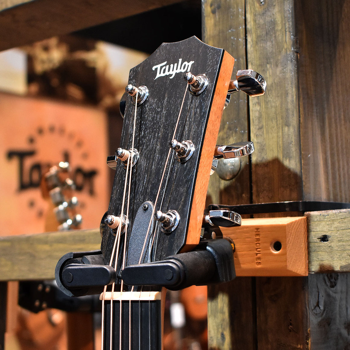 Taylor 210ce Electro Acoustic Guitar w/Gig Bag