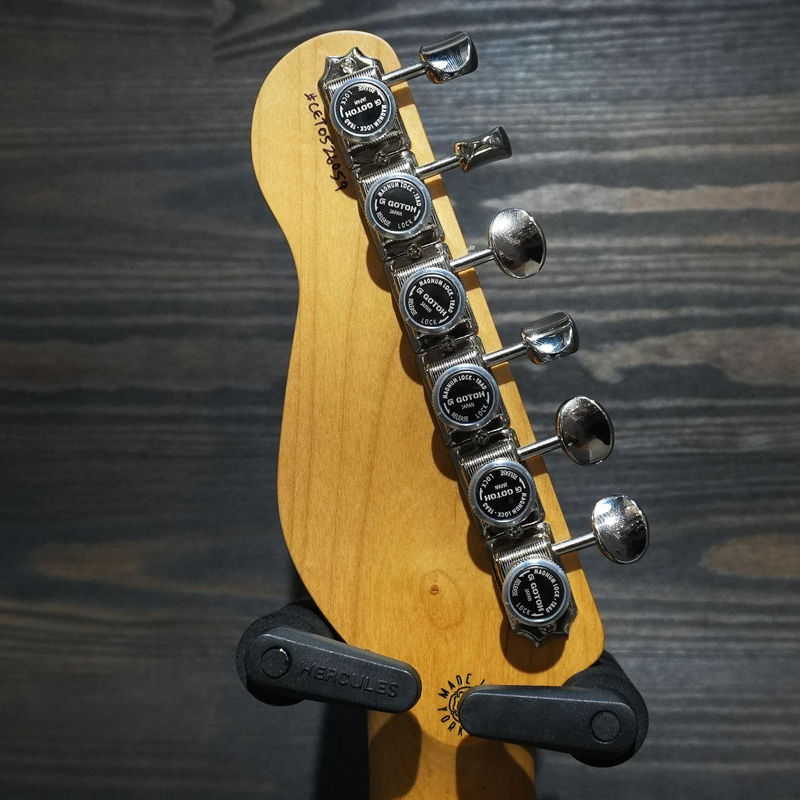 Caydence Endeavour Triton Trojan Bronze W/Premium Gig Bag