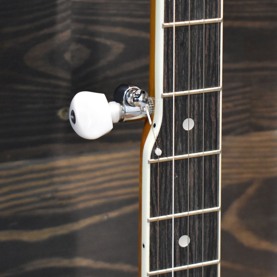 Washburn B9 Americana Series 5 String Banjo
