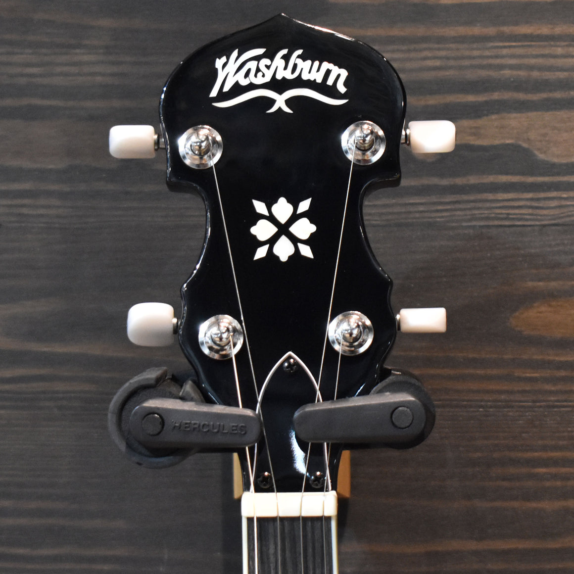 Washburn B9 Americana Series 5 String Banjo