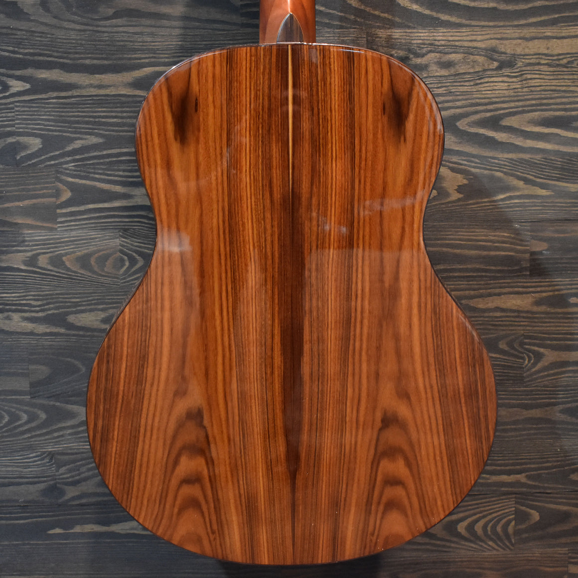 Washburn Bella Tono Elegante S24S Acoustic Guitar