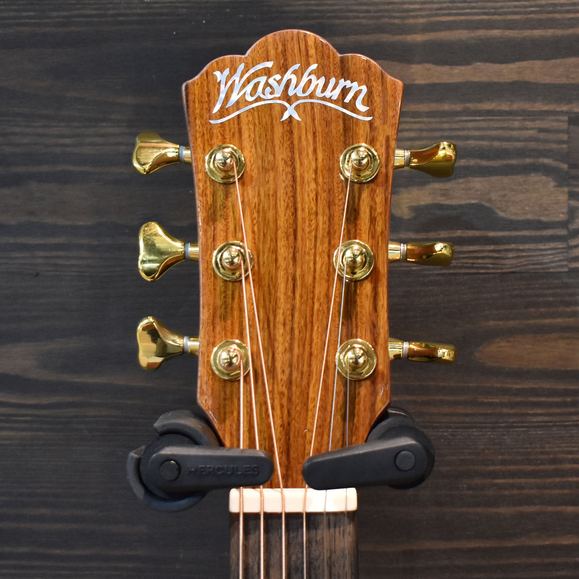 Washburn Bella Tono Elegante S24S Acoustic Guitar