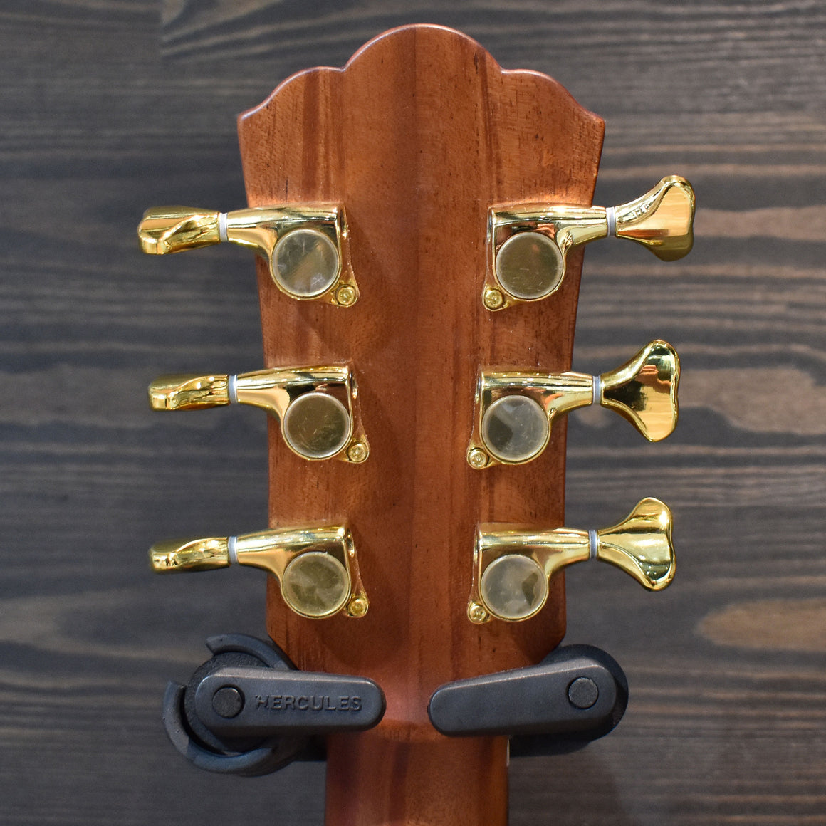 Washburn Bella Tono Elegante S24S Acoustic Guitar