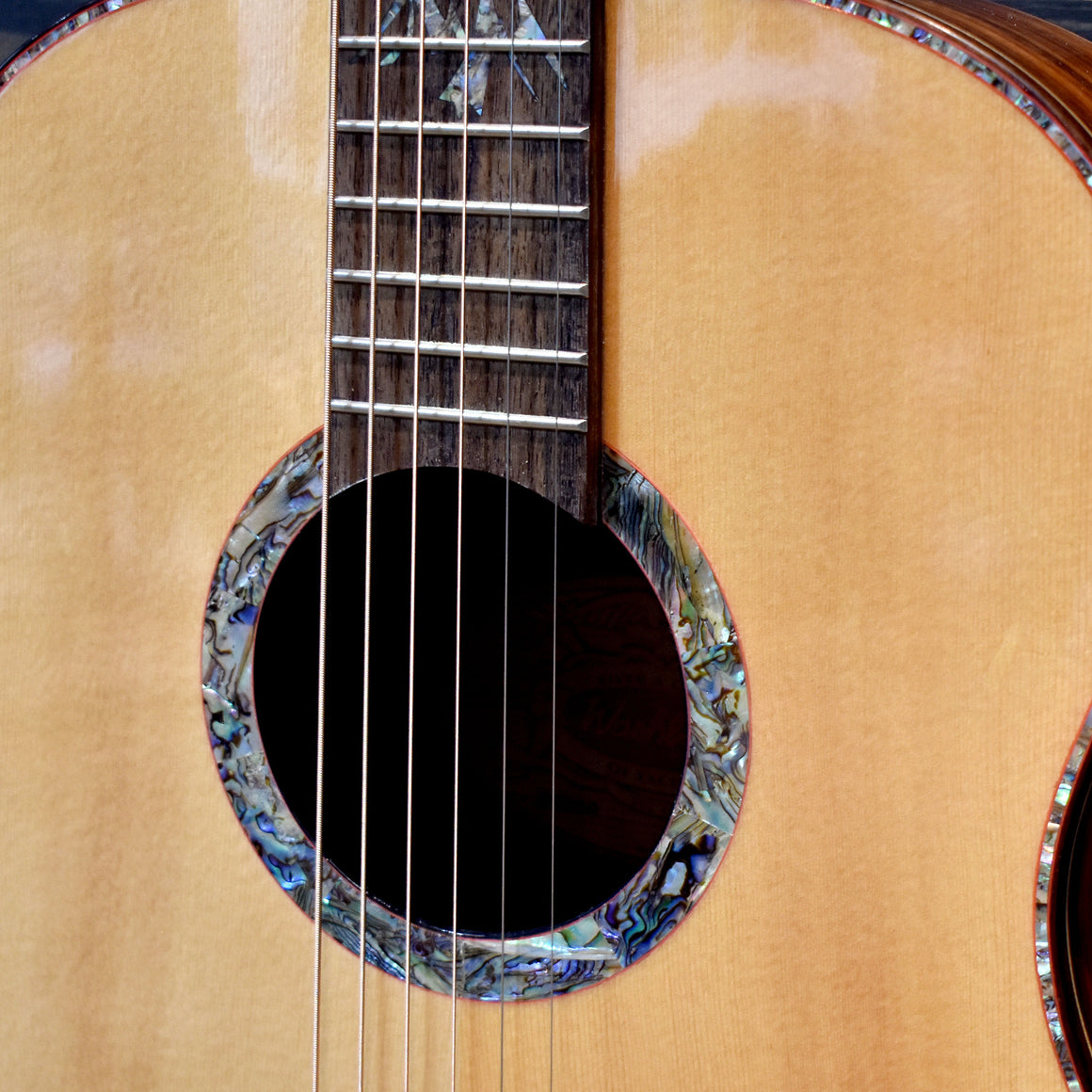 Washburn Bella Tono Elegante S24S Acoustic Guitar
