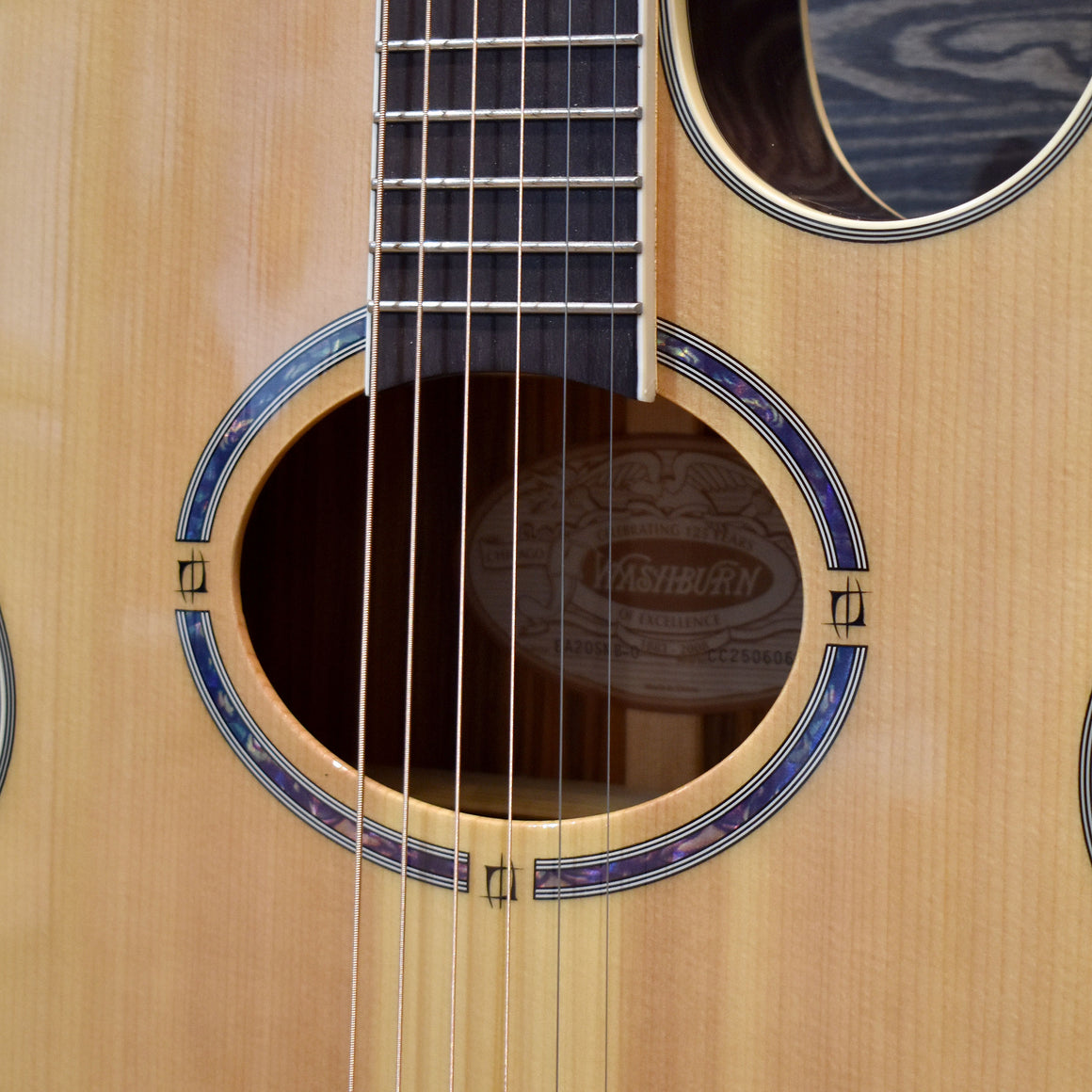 Washburn Festival EA20S Nuno Bettencourt Electro-Acoustic Guitar