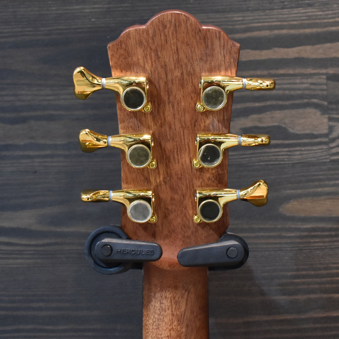 Washburn Bella Tono Allure SC56S Electro-Acoustic Guitar